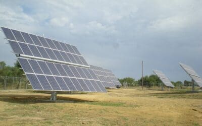 The “cultivation” of photovoltaics is an investment